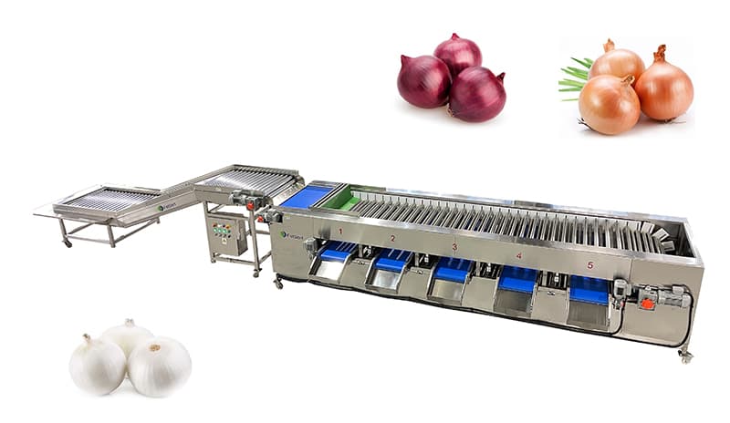 images/1708935682587onion grader.jpg